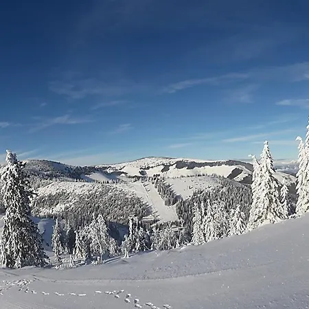 Domcek Horskej Sluzby