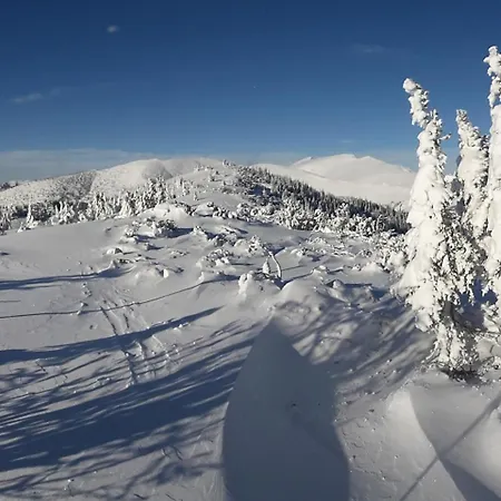 Vandrarhem Domcek Horskej Sluzby Vyšná Boca