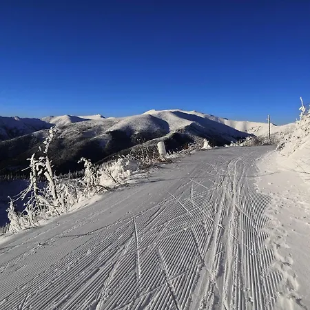 Domcek Horskej Sluzby * Vyšná Boca